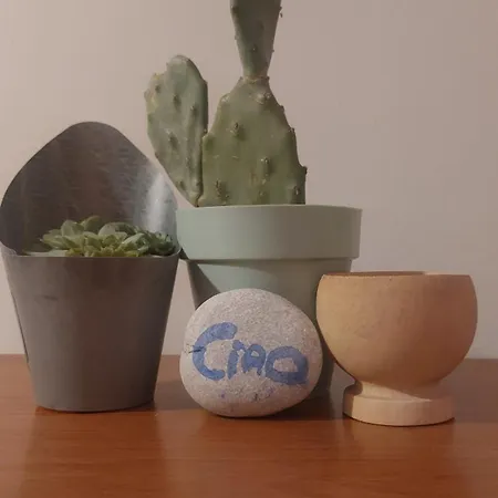 Casa Apartment